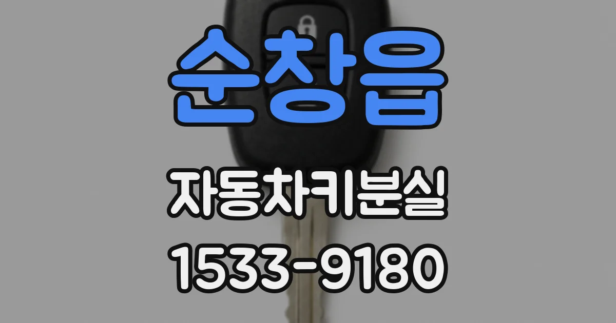 순창읍 자동차키분실