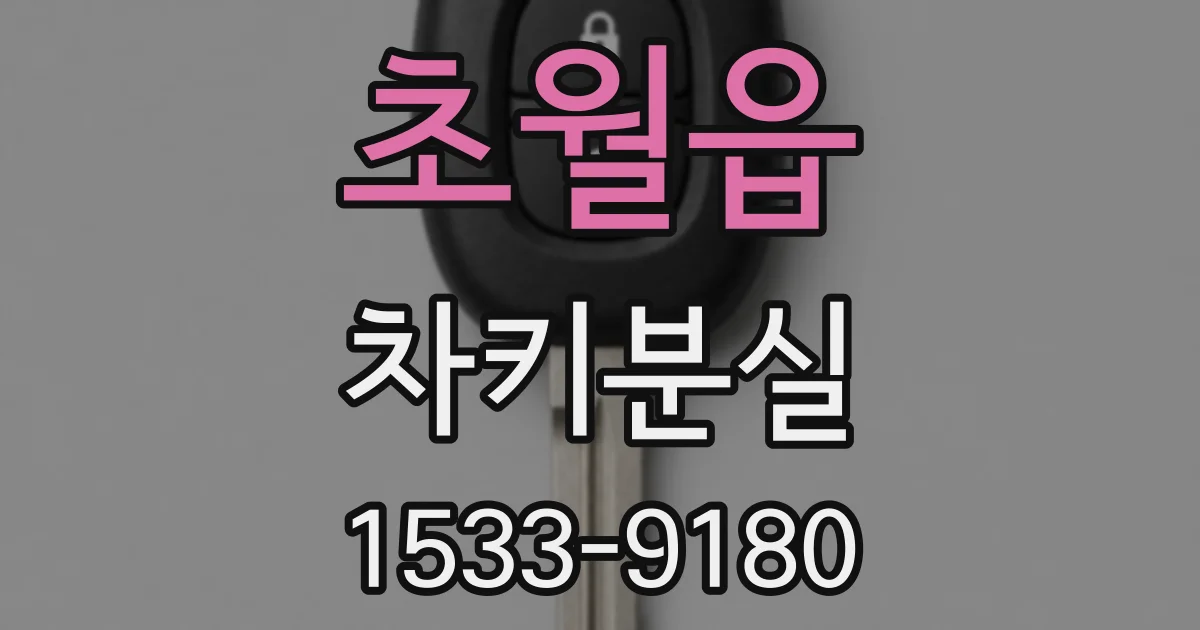 초월읍 차키분실