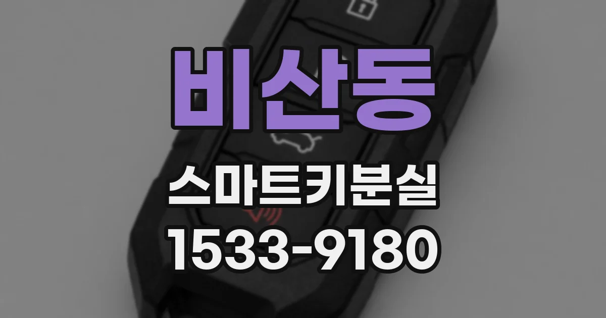 비산동 스마트키분실