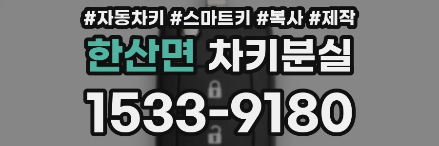 한산면 차키분실
