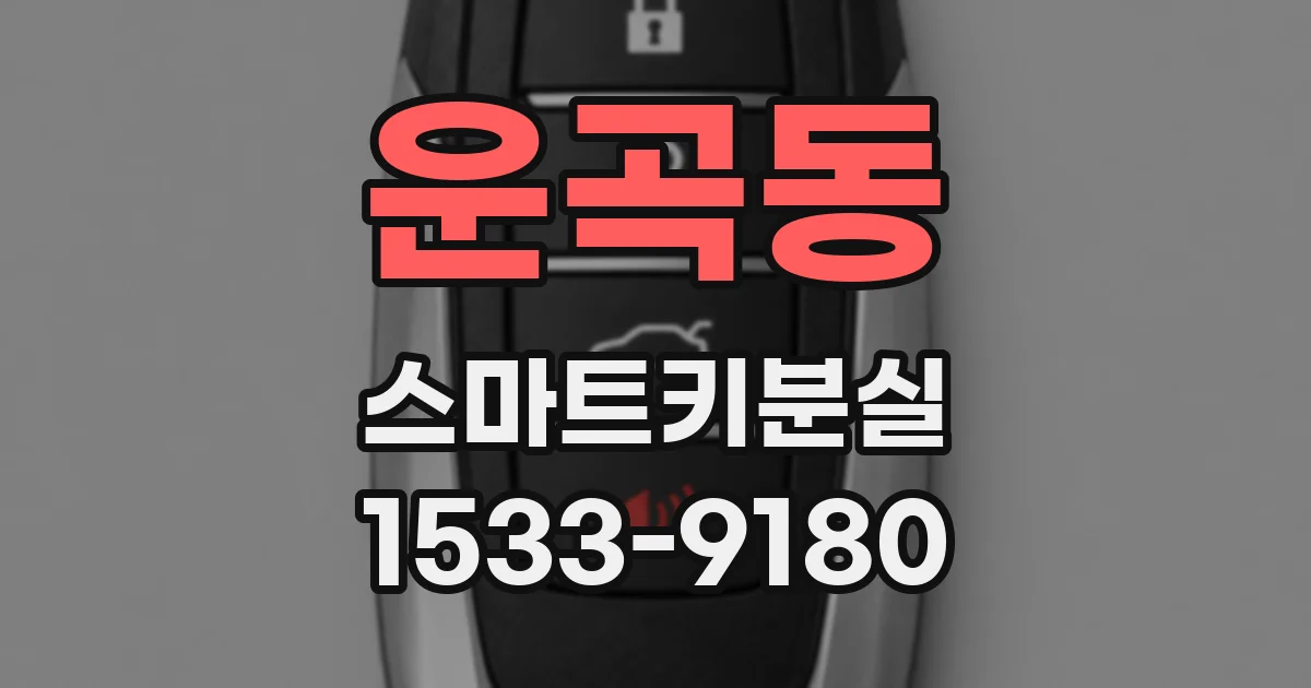 운곡동 스마트키분실