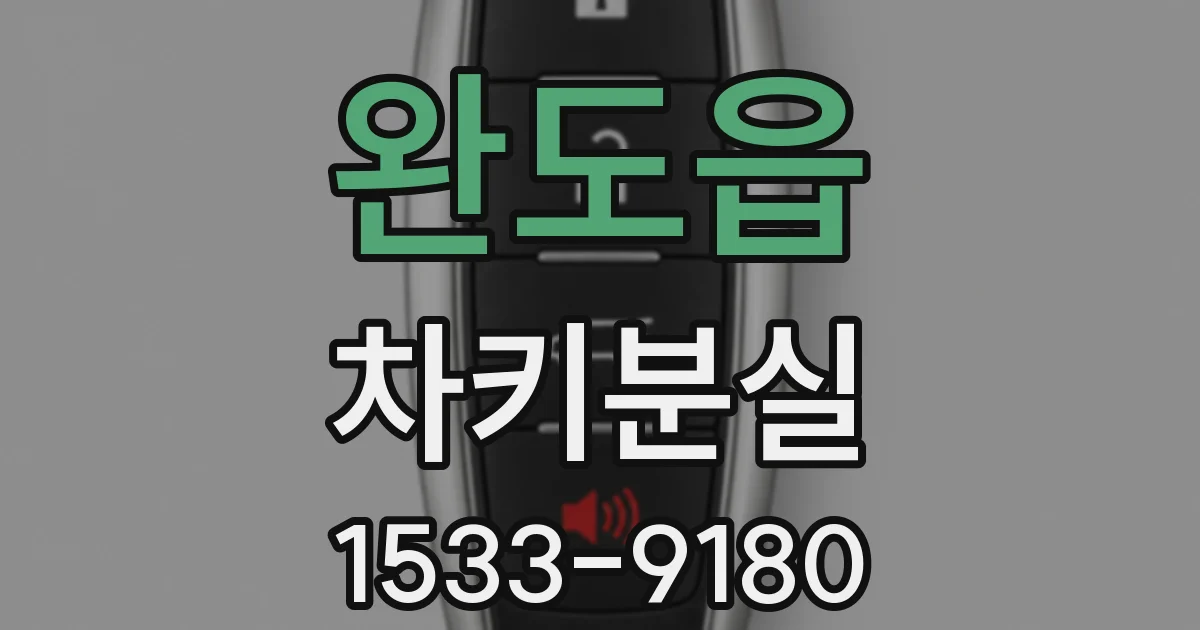 완도읍 차키분실
