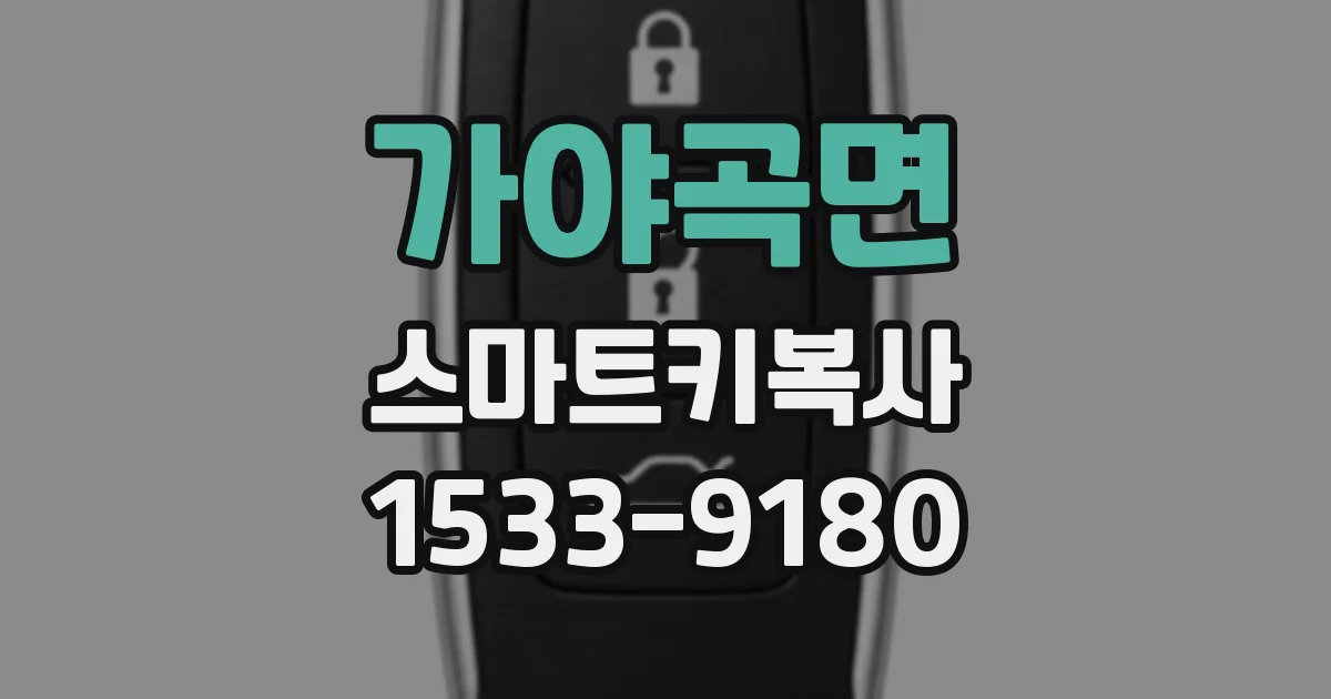 가야곡면 스마트키복사