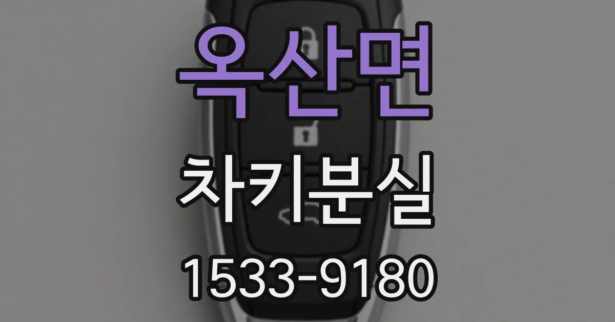 옥산면 차키분실