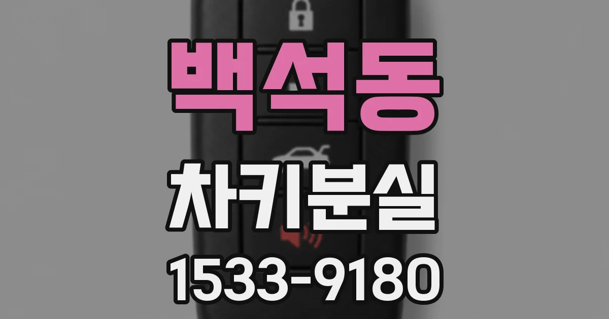 백석동 차키분실