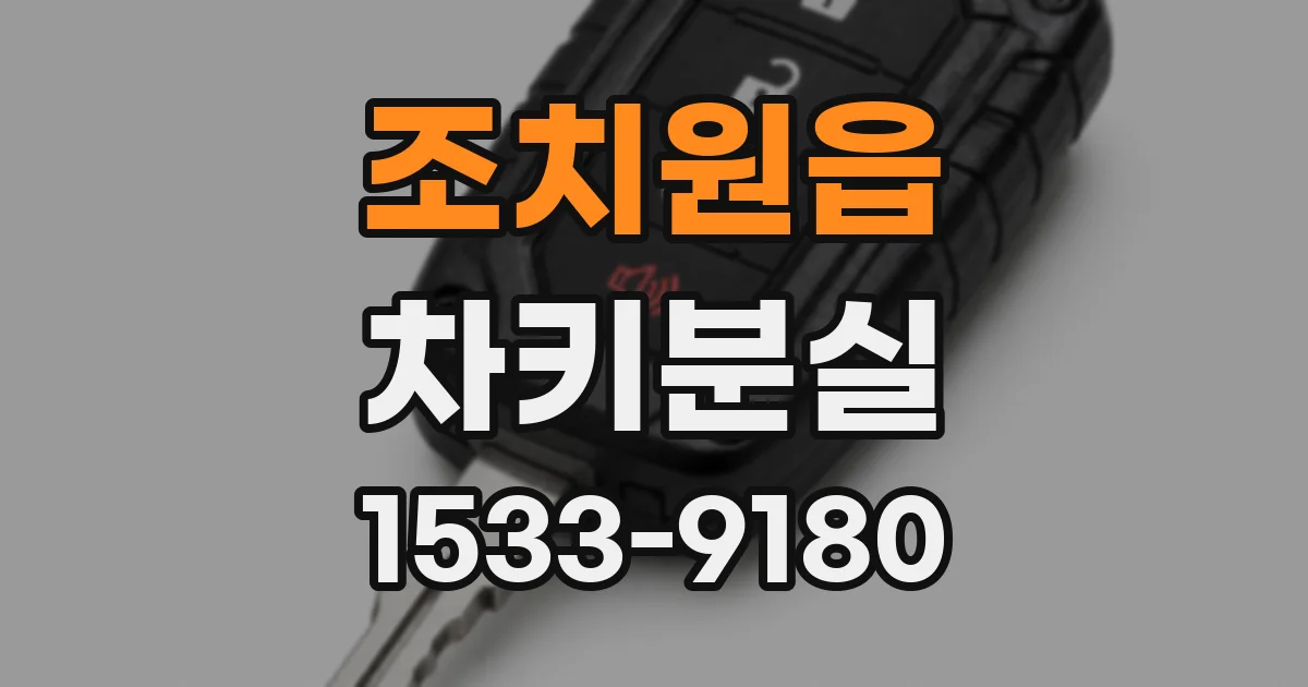 조치원읍 차키분실