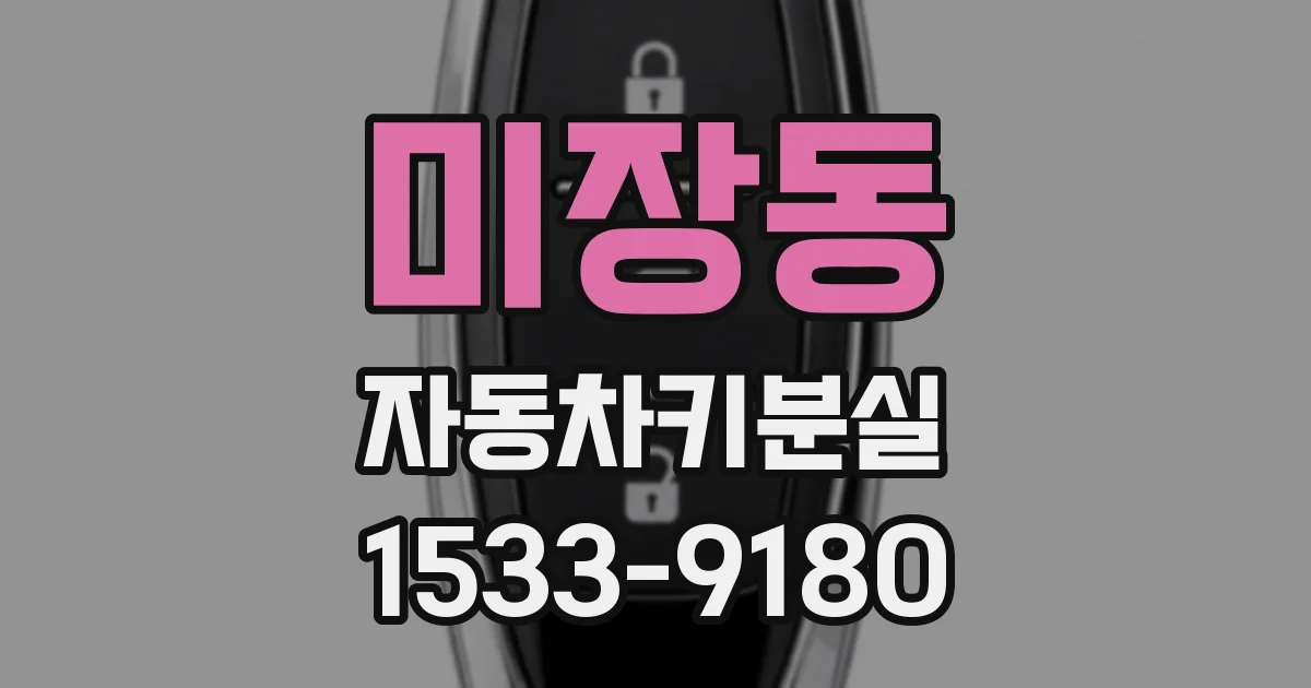 미장동 자동차키분실