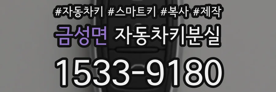 금성면 자동차키분실