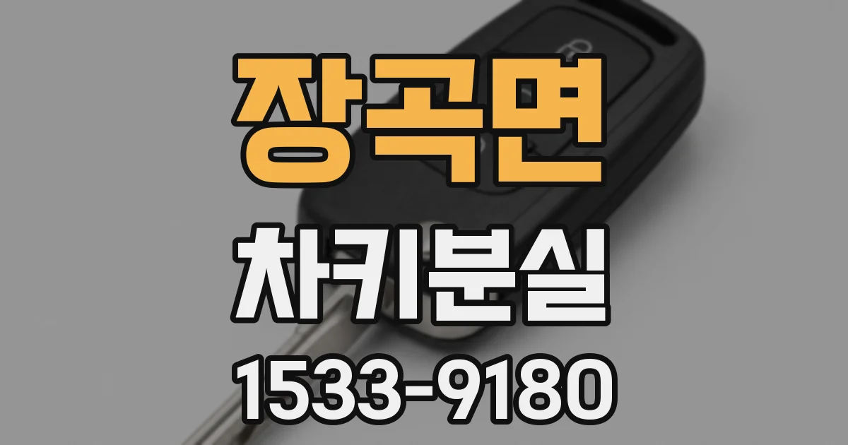 장곡면 차키분실