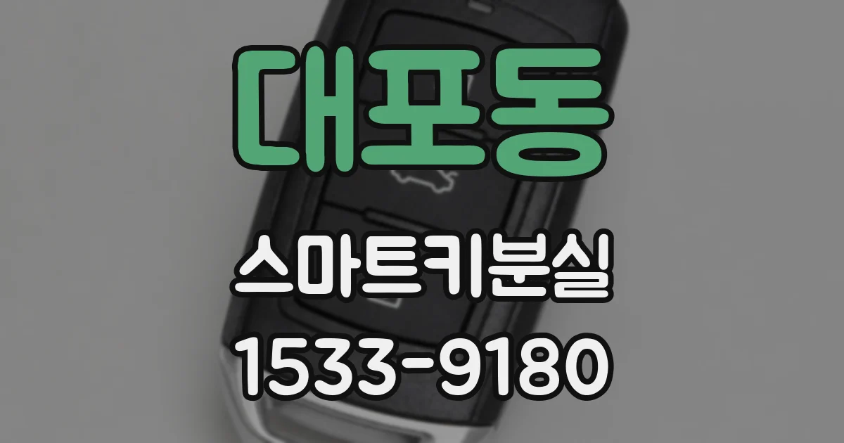 대포동 스마트키분실