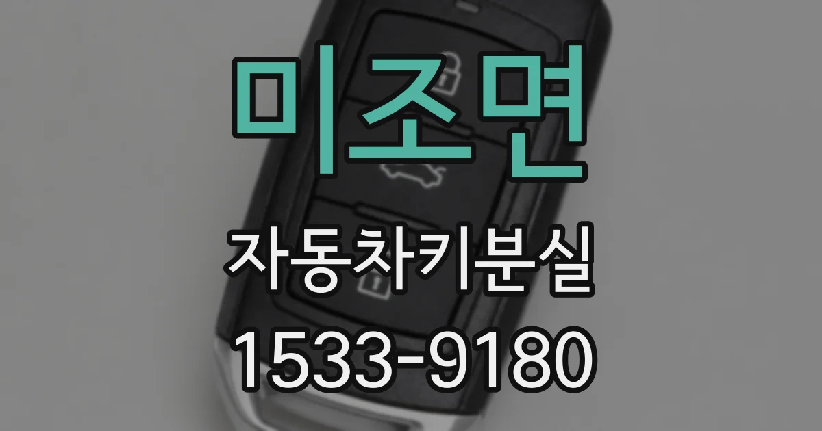 미조면 자동차키분실