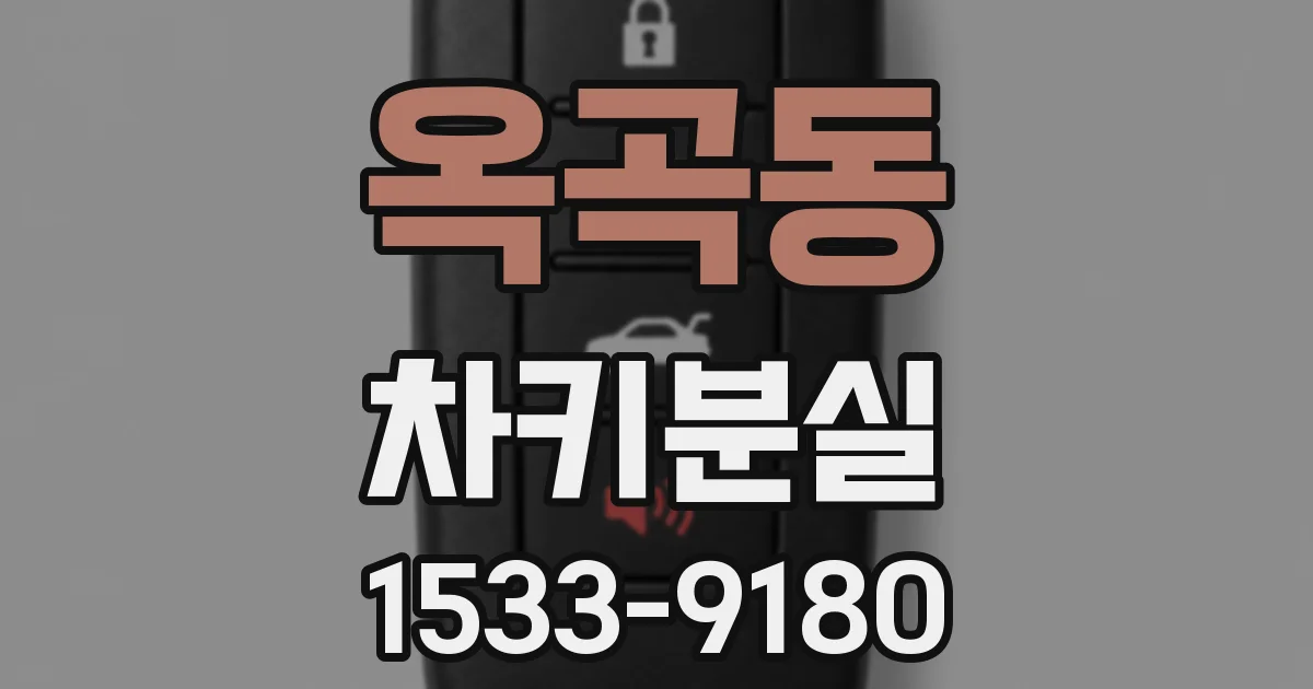 옥곡동 차키분실