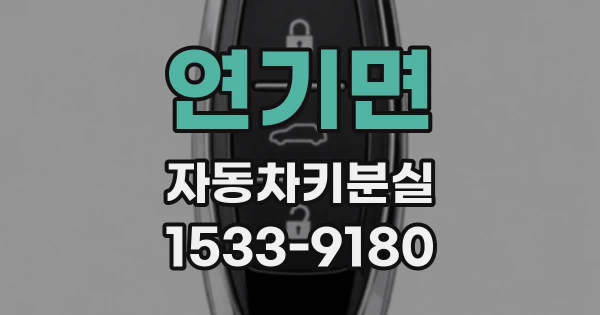 연기면 자동차키분실