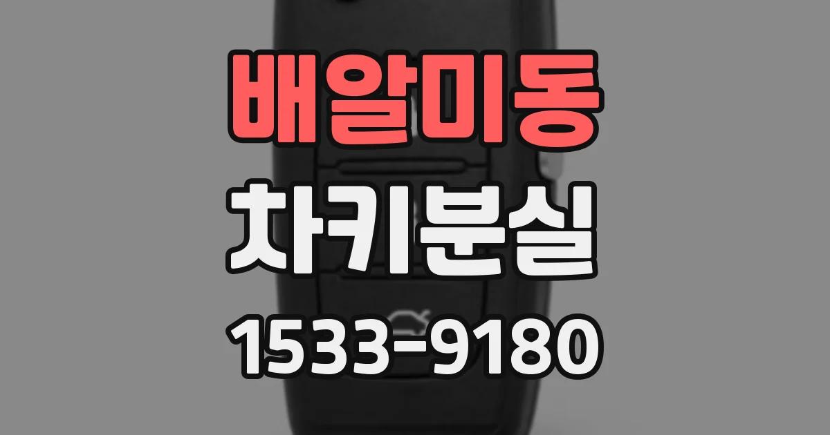 배알미동 차키분실