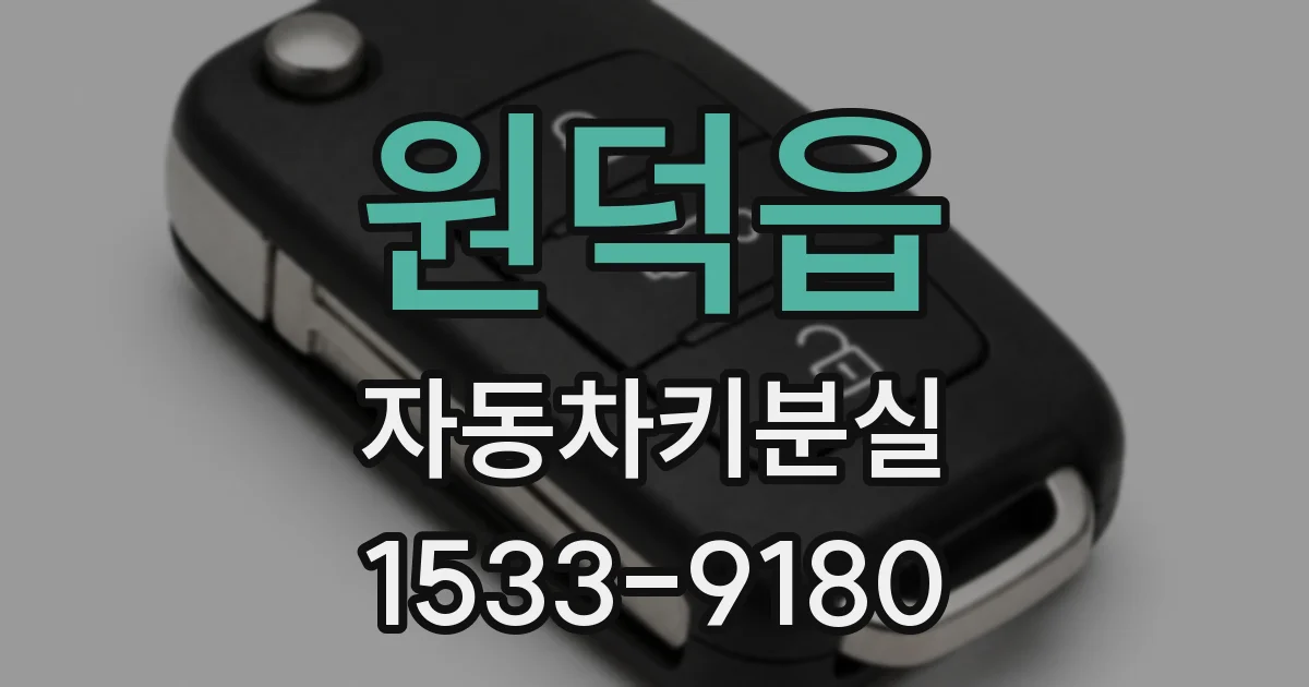 원덕읍 자동차키분실
