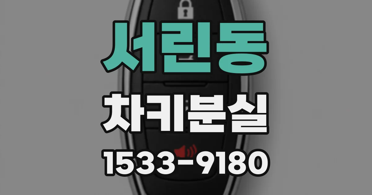 서린동 차키분실