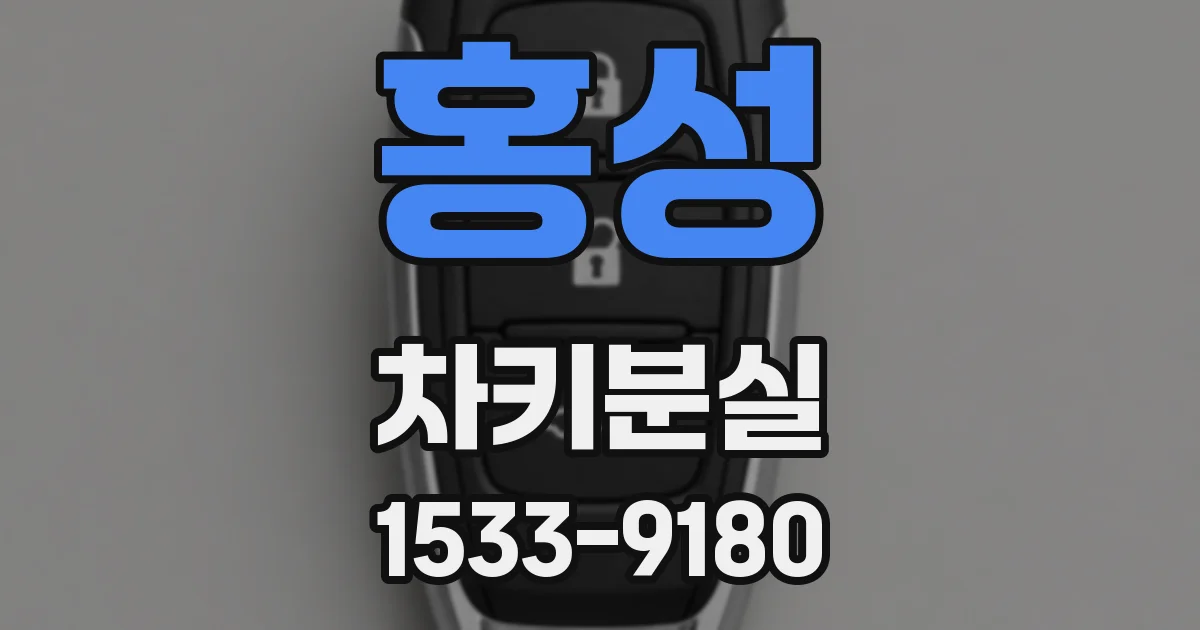 홍성 차키분실