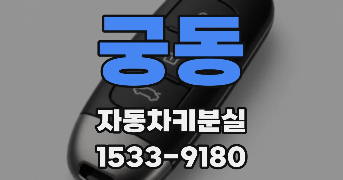 궁동 자동차키분실
