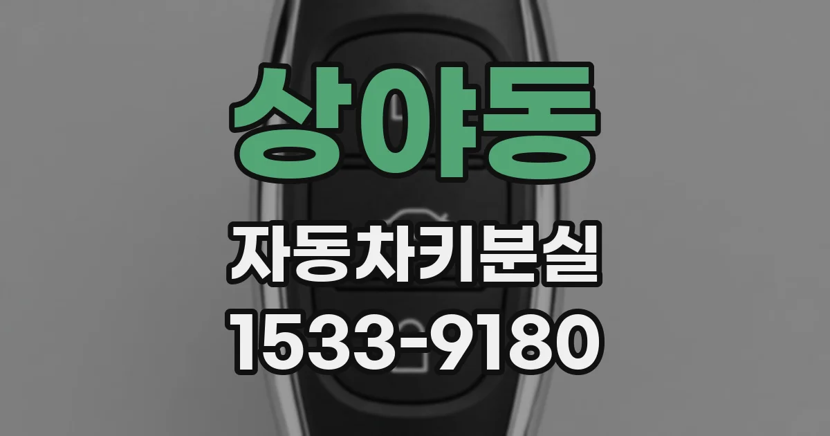 상야동 자동차키분실