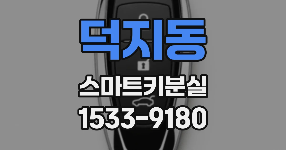 덕지동 스마트키분실