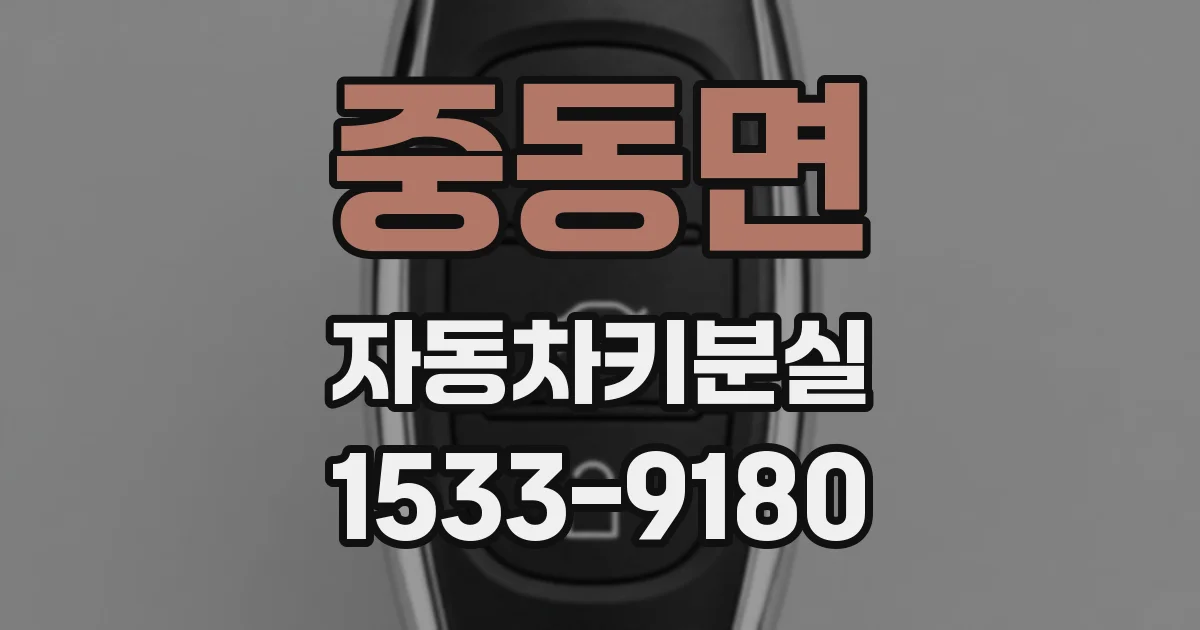 중동면 자동차키분실