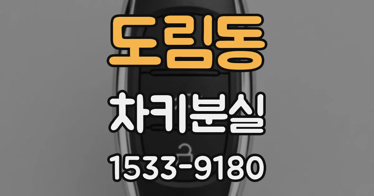 도림동 차키분실