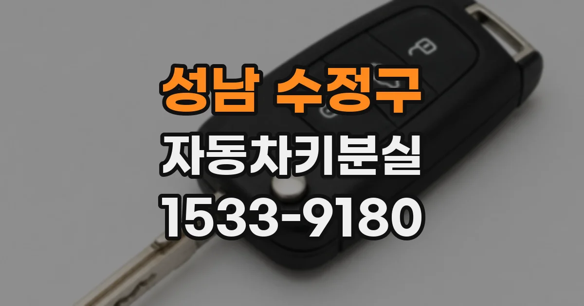 성남 수정구 자동차키분실