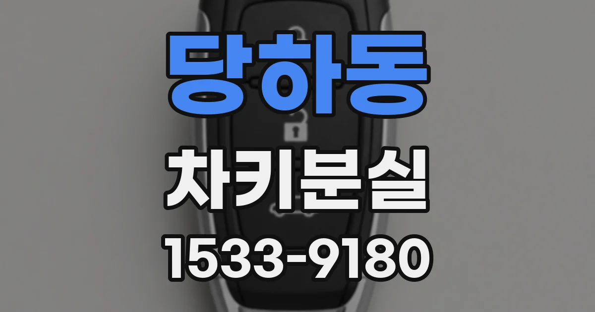 당하동 차키분실