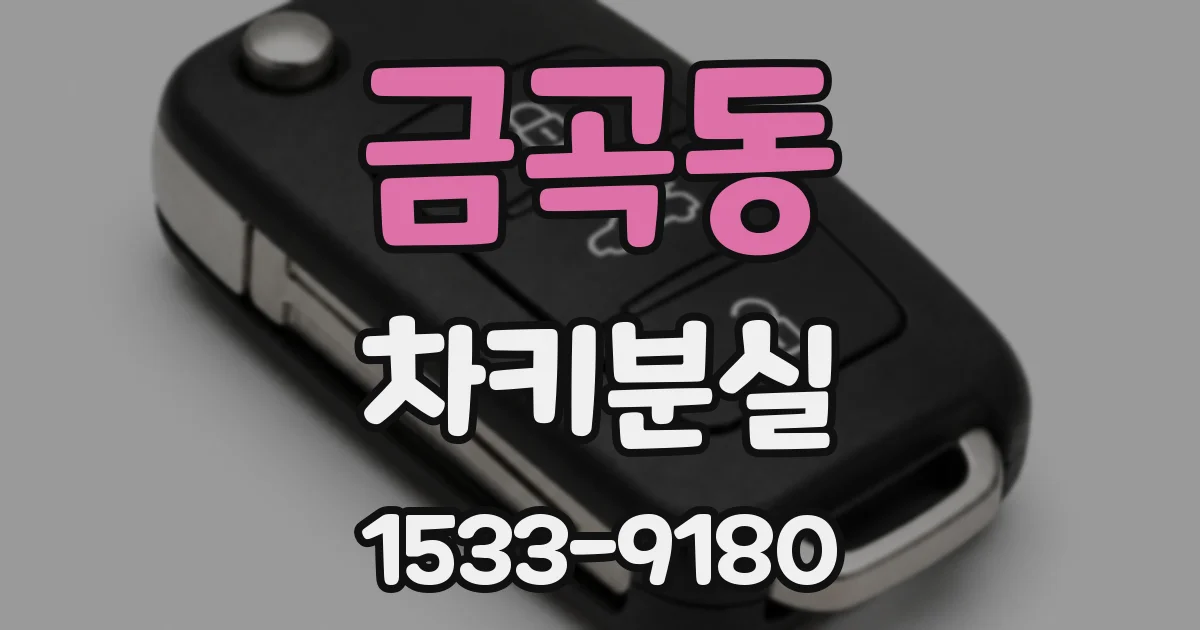금곡동 차키분실