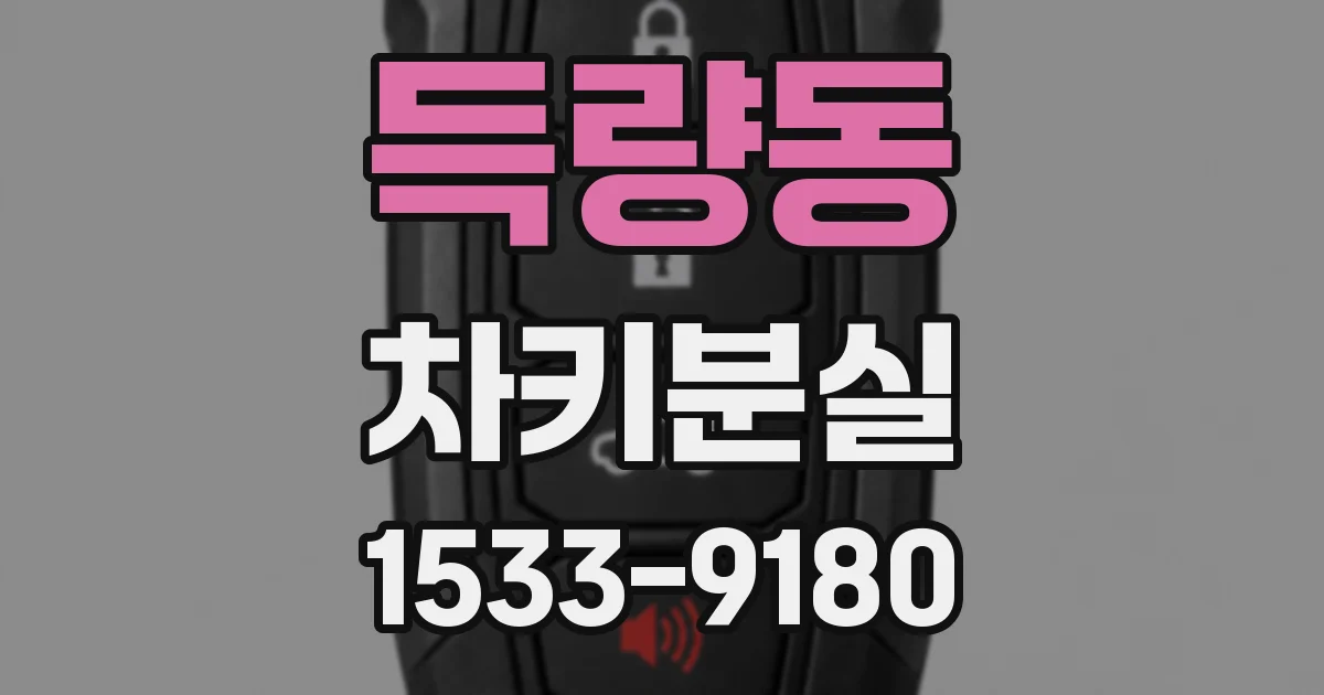 득량동 차키분실
