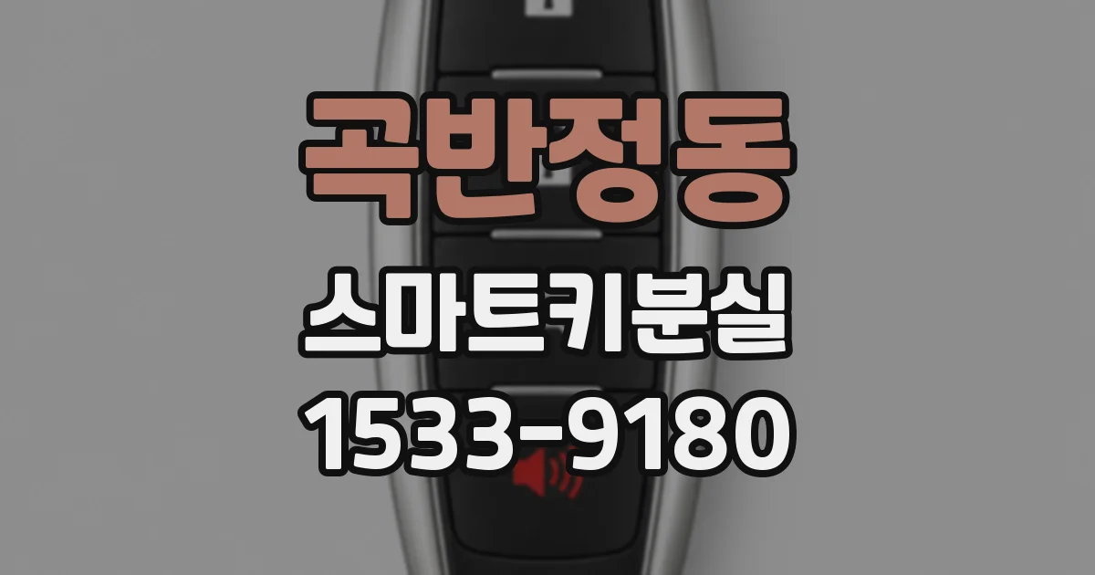 곡반정동 스마트키분실