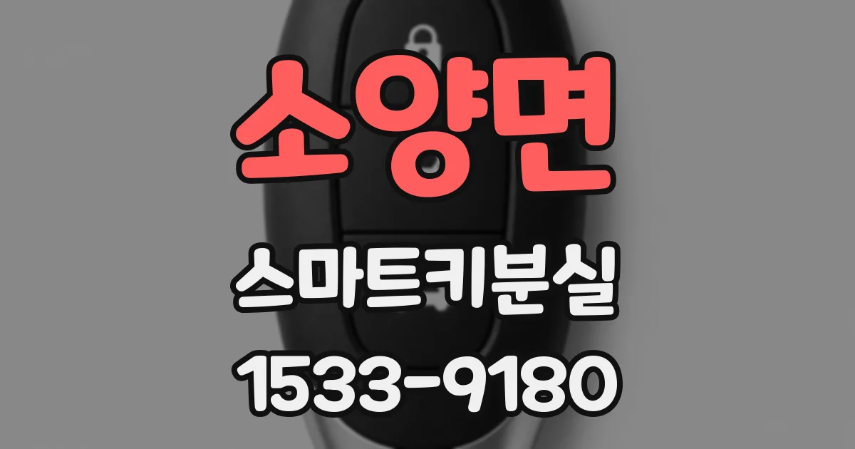 소양면 스마트키분실