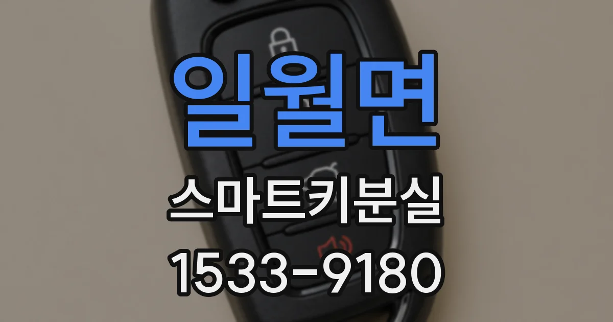일월면 스마트키분실