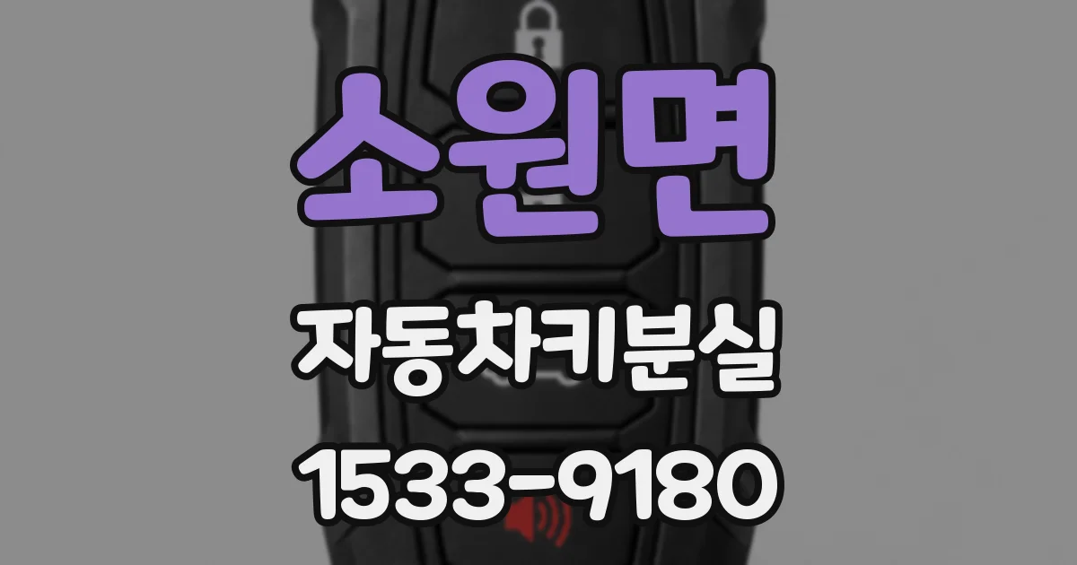 소원면 자동차키분실
