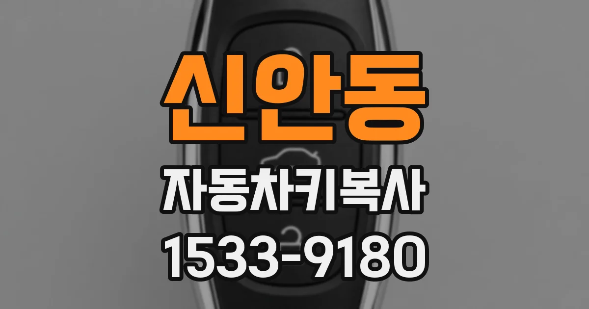 신안동 자동차키복사