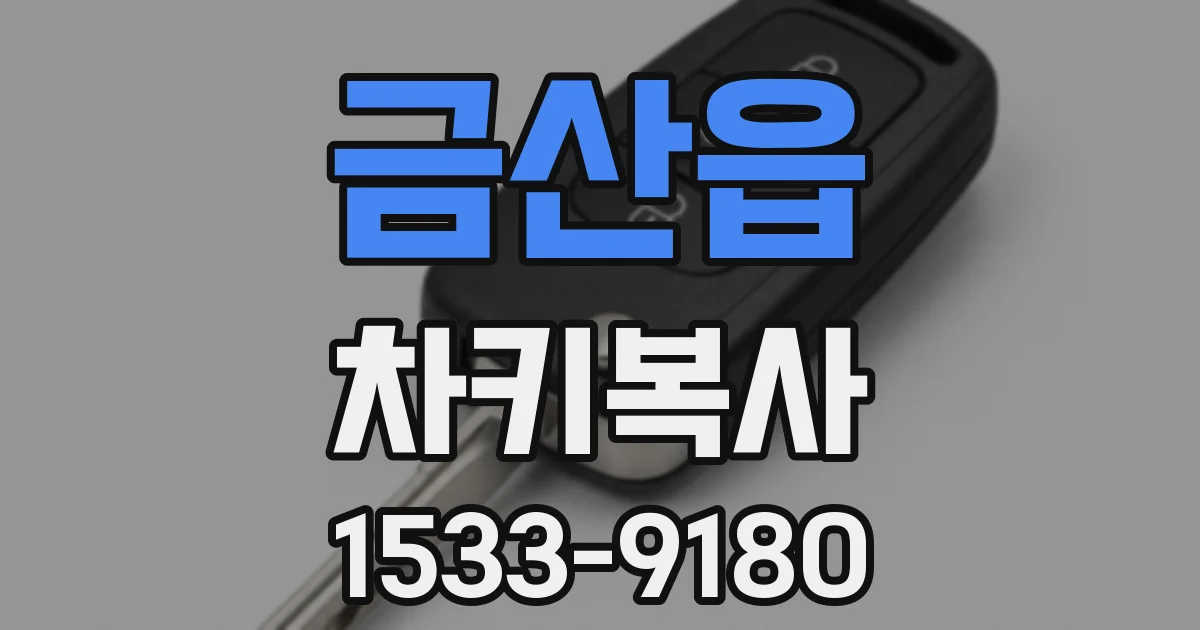 금산읍 차키복사