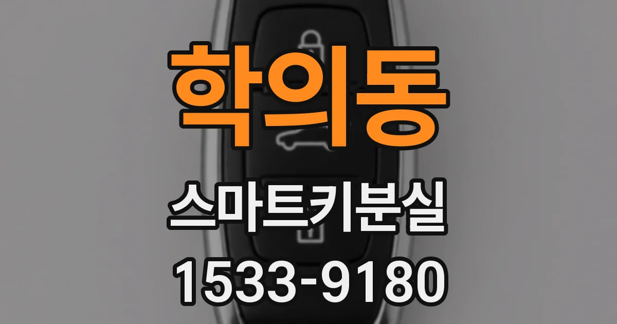 학의동 스마트키분실