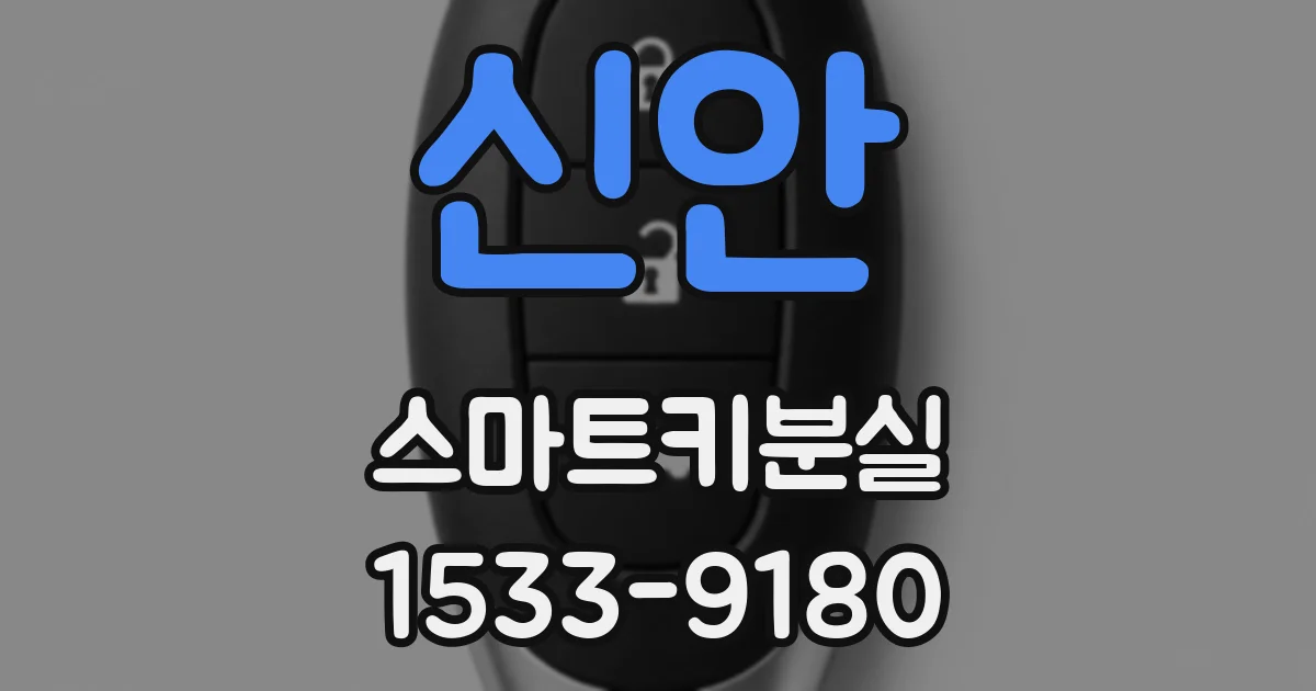 신안 스마트키분실