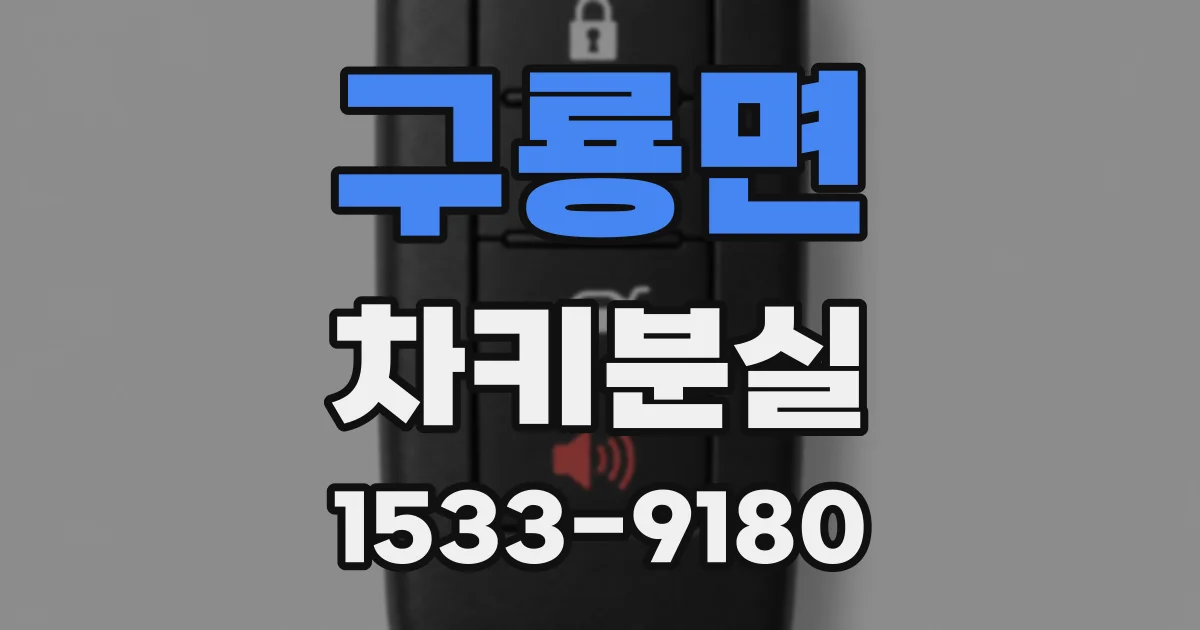 구룡면 차키분실