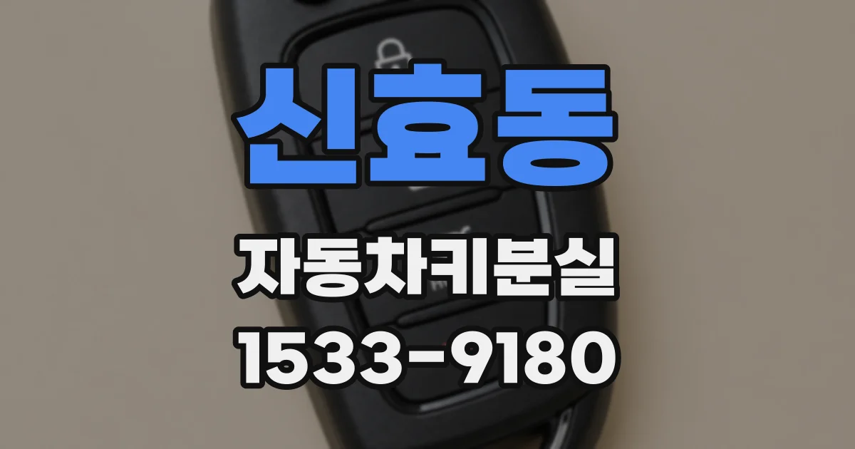 신효동 자동차키분실