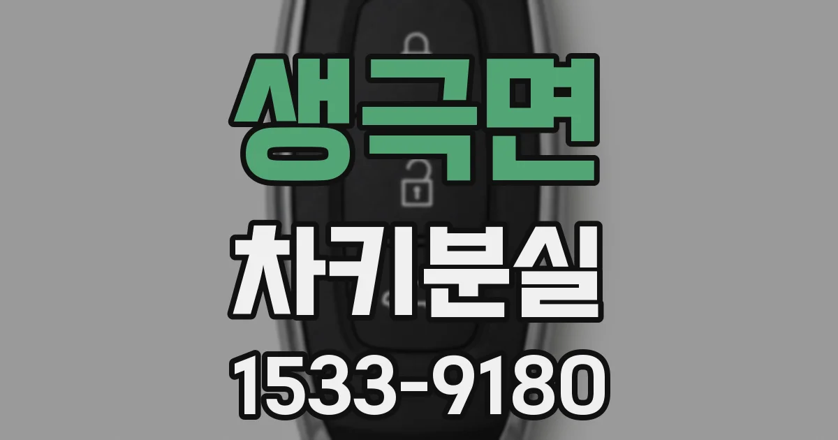 생극면 차키분실