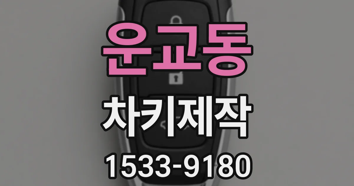 운교동 차키제작