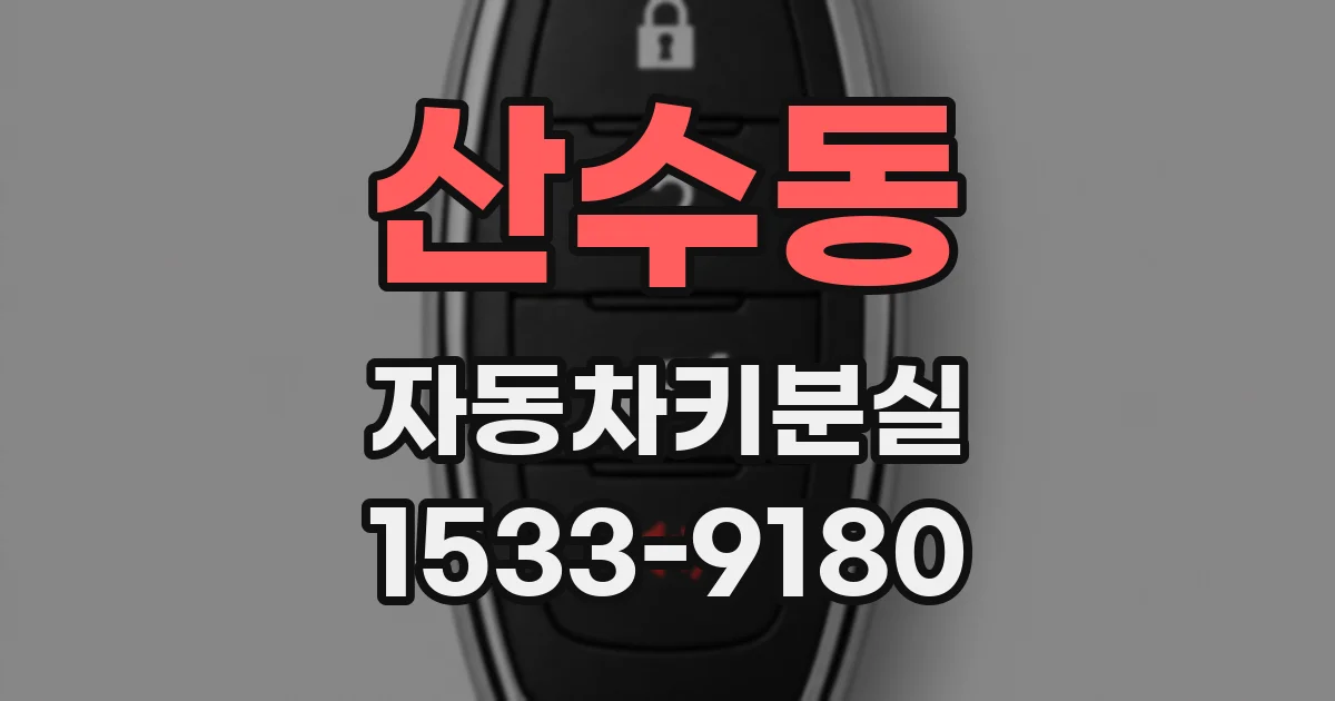 산수동 자동차키분실