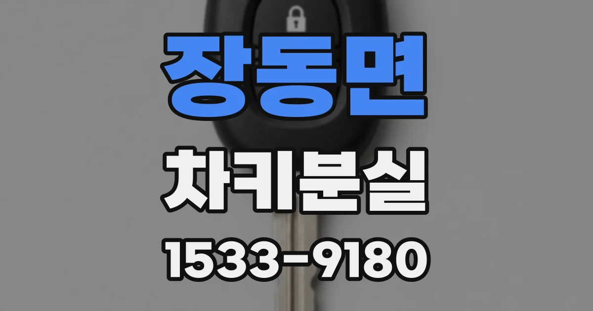 장동면 차키분실