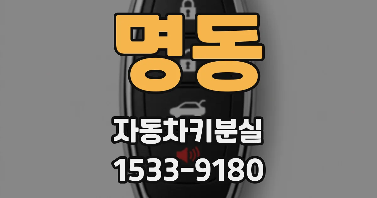 명동 자동차키분실