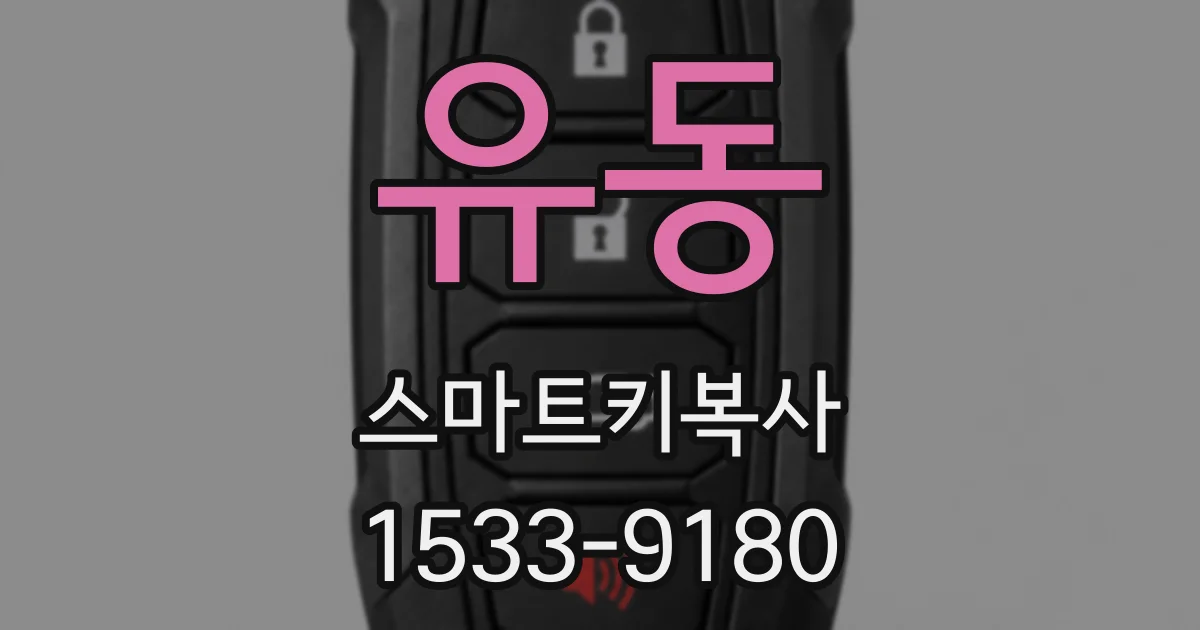 유동 스마트키복사