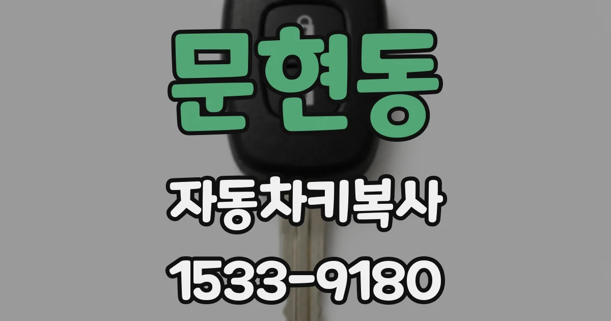 문현동 자동차키복사