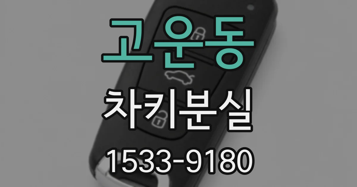 고운동 차키분실