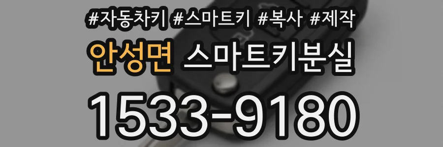 안성면 스마트키분실