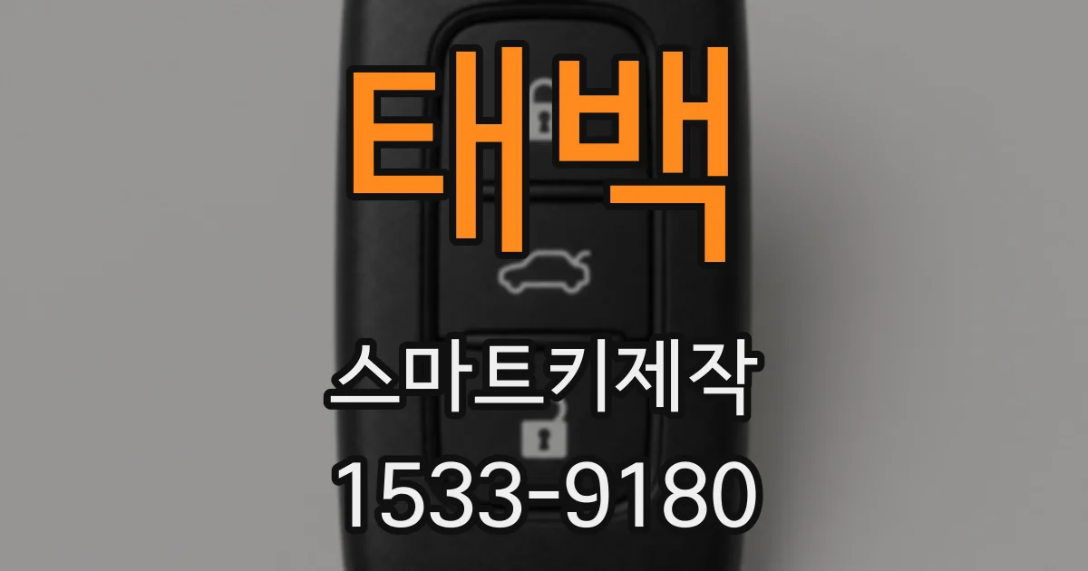 태백 스마트키제작